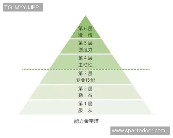 重庆排球队的团队协作与战术配合研究探讨